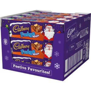 Cadbury Fudge Minis Tube (Box of 12)