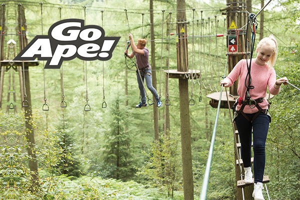 Tree Top Challenge for Two Adults at Go Ape