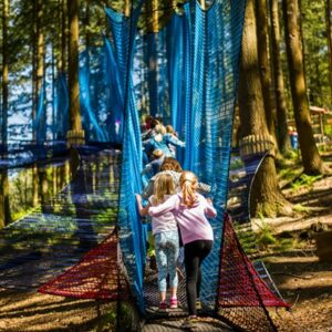 Treetop Nets Adventure for One Adult