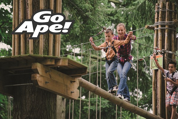 Tree Top Adventure in London for One Adult and One Child