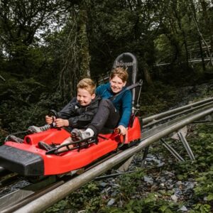 Zip World Fforest Coaster Shared Sled Ride - Adult and Child