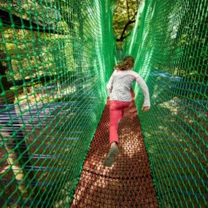 Treetop Nets for Two at Treetop Trek
