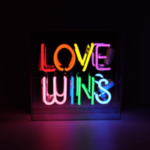 Rainbow Love Wins Neon Box Sign