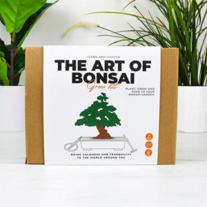The Art of Bonsai Grow Kit