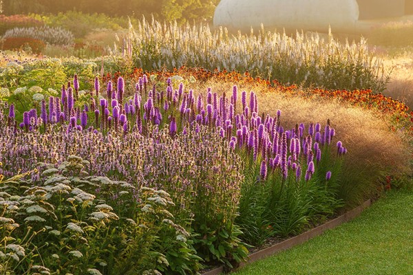 Online Professional Planting Design Course with an Expert for One