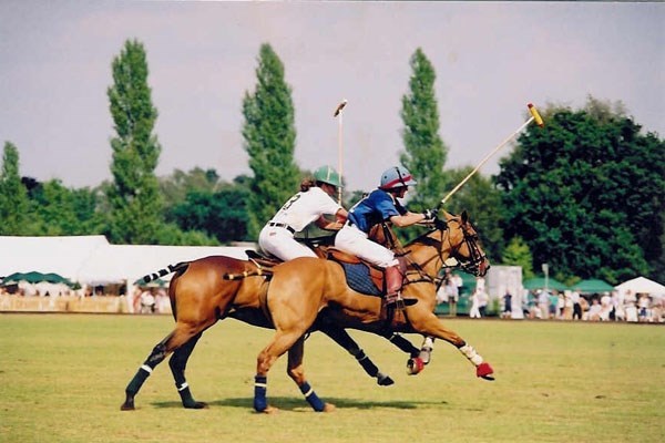 Discover Polo Experience at Westcroft Park