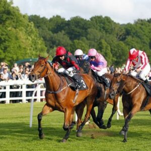 2 for 1 Winning Raceday Package – Special Offer
