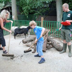 Zookeeper Experience at Paradise Wildlife Park for One Adult and One Child