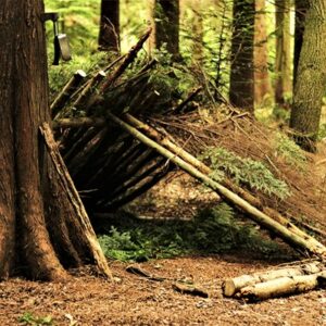 Woodland Survival and Bush Craft Course