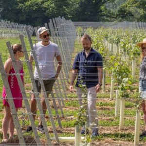 Vineyard Tour and Tasting Experience for Two at Hidden Spring Vineyard