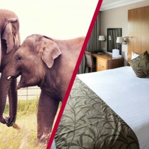 Adult Entry to Whipsnade Zoo with Overnight Stay at Aubrey Park Hotel