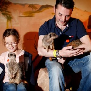 A Choice of One Hour Animal Experience for a Family at Hoo Farm Animal Kingdom