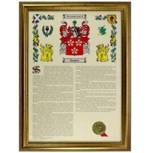 Personalised Coat Of Arms & Surname History