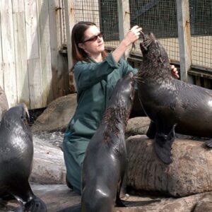 Zookeeper for a Day at Bristol Zoo with Entry for Two