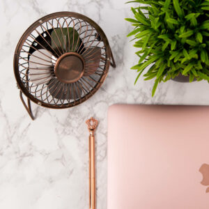 Bronze USB Desk Fan