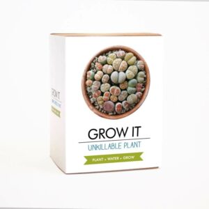 Grow it - Unkillable Plant