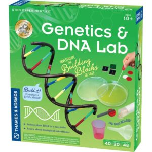 Learn About Genetics And DNA Experiment Kit