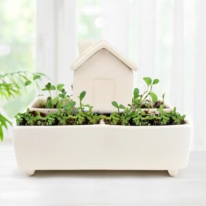 Grow Kit - Self Watering Herb House