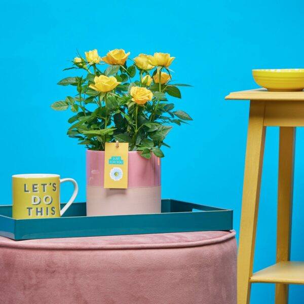Yellow Rose Ceramic