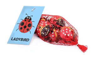 Branded net of chocolate ladybirds