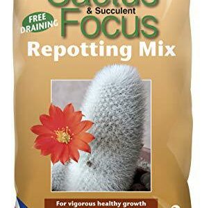 Cactus Focus Repotting Mix 2 Litre