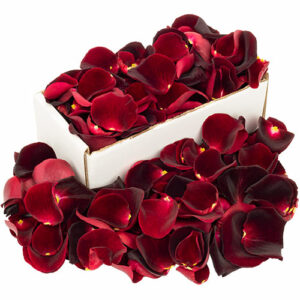 Box of Fresh Black Baccara Rose Petals