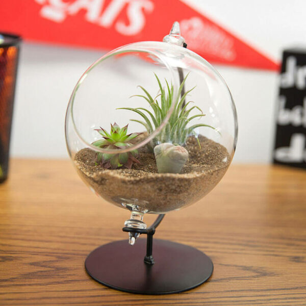 Desktop Glass Terrarium Planter (Globe)