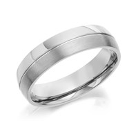 Titanium Double Banded Ring - 6mm - J1113-T